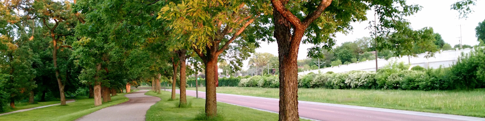 Suburban wooded walking path next to street